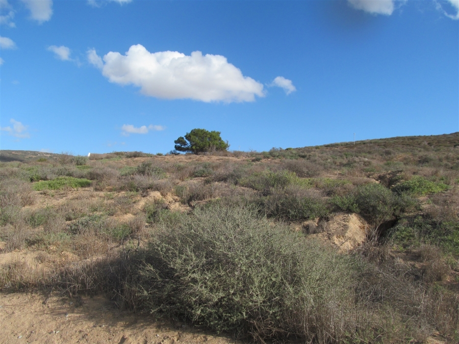 0 Bedroom Property for Sale in Britannica Heights Western Cape